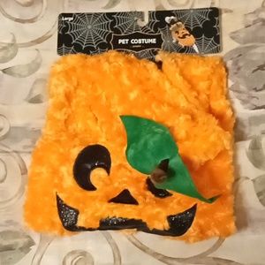 Halloween Jack-o'-lantern Dog Costume